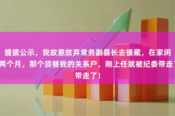 提拔公示，我故意放弃常务副县长去援藏，在家闲了两个月，那个顶替我的关系户，刚上任就被纪委带走了！