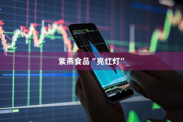 紫燕食品“亮红灯”